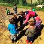 Disponibilità Giardino Attrezzato