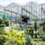 Obojes Garten-Landschaftsbau-01