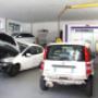Gallery Cliente