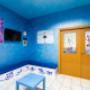 Gallery Professionale