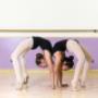 Gallery Professionale