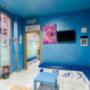 Gallery Professionale