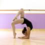 Gallery Professionale