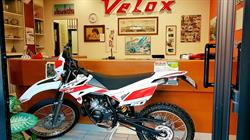 Autoscuola Velox