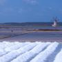 Saline e Miniere di Sale