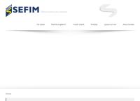 Sefim Work Force Group
