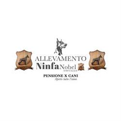 Pensione x cani Ninfa Nobel