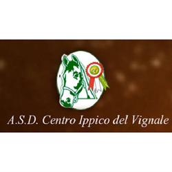 Centro Ippico del Vignale