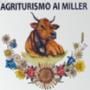 Agriturismo ai Miller