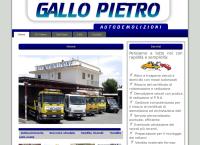 Gallo Pietro Demolizione