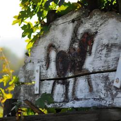 Agriturismo Ca'Borgh