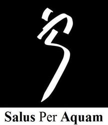 Salus per Aquam