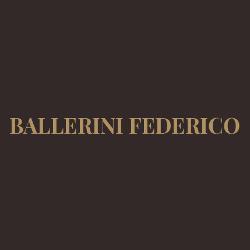 Ballerini Federico Segheria