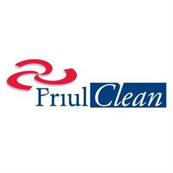 Friul Clean