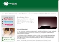 Sito di Canavesana Traslochi Trasporti
