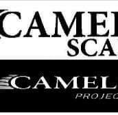 Cameli Scale