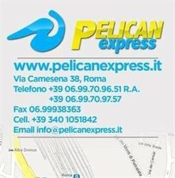 Pelican Express Courier - Pony Express - Corriere Espresso Roma