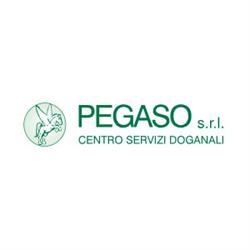 Pegaso Srl - Centro Servizi Doganali