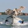 Pegasus Biennale 2015
