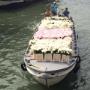 Trasporto Fiori per Nozze