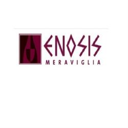 Enosis S.r.l.