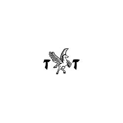 T. & T. International