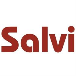 Salvi Industriale Trasporti - Trasporti Eccezionali