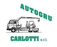Autogru Carlotti