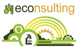 Econsulting