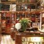 Interno Negozio
