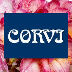 Fioraia Corvi