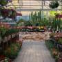 Horti di Veio - Piante Grasse