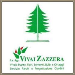 Vivai Zazzera