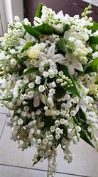 Gennaro Scognamiglio - Fiori