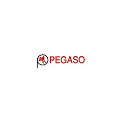 Pegaso Soc. Coop. Rl