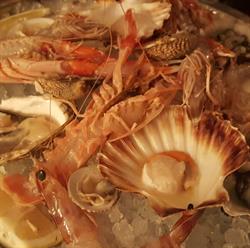 Ristorante Delfino