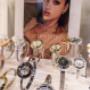 Gallery Professionale