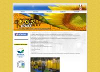 F.g.s. Drill SRL