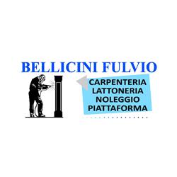 Carpenteria Lattoneria Bellicini