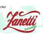 Zanetti Piante