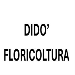 Dido' Floricoltura
