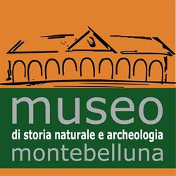 Museo Di Storia Naturale e Archeologia Di Montebelluna
