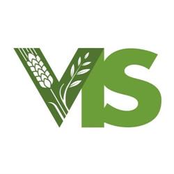 Volontariato Internazionale Per Lo Sviluppo (Vis)