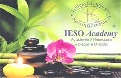 Ieso Academy