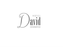 Hotel David 3 stelle