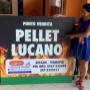 Gallery Professionale