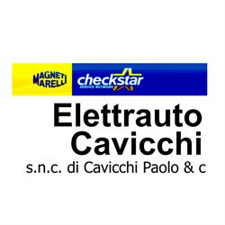 Elettrauto Cavicchi di Cavicchi Paolo & C. s.n.c.