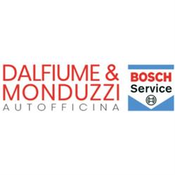 Dalfiume & Monduzzi Srl