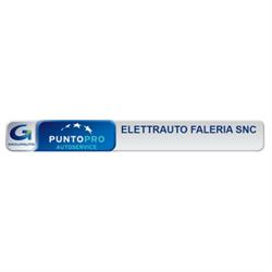 Elettrauto Faleria snc