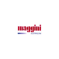 Maggini Elettricità